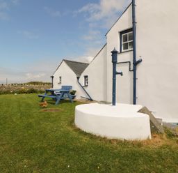 An outdoor area with white buildings a blue picnic table a water pump and a chicken on grass at Ty Fferm Bodlasan in Llanfachraeth near Valley