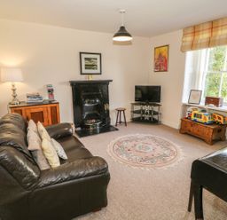 A living room with a leather sofa a black fireplace a TV on a glass stand a wooden chest with toys and a window with checkered blinds at Ty Fferm Bodlasan Llanfachraeth near Valley