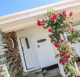 The white front door of a house with a rose bush climbing a column next to the door at The Shack in Mawgan Porth near Newquay