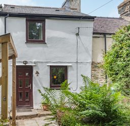 A white two story house with a brown door and windows and a garden with green plants at 3 Tyn Y Mynydd in Penmachno