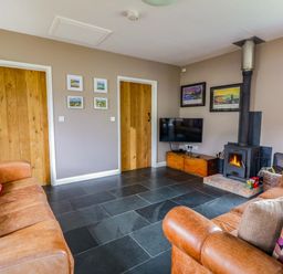 A living room with a fireplace and television at Blaenffynnon Bach in Trelech near Crymych