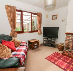 A living room with a green sofa and plaid throw near a window and television next to a fireplace at Bryn yr Haf in Llanfair Clydogau near Lampeter
