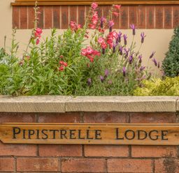 A garden bed with pink and purple flowers and a wooden sign saying Pipistrelle Lodge on a brick wall at Pipistrelle Lodge in Plymtree