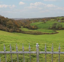 A landscape view featuring a grass field and trees at Bwthyn-y-Rhiw Penybanc near Llandeilo