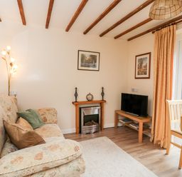 A living room with a sofa and cushions a small fireplace a television on a wooden stand and a dining table by a window at Woods Edge in Mitcheldean