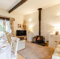 A living room with a television and fireplace at Wagtail Cottage East Taphouse