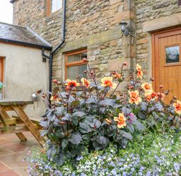 A stone wall house with a wooden door and window a flower bed with orange and purple flowers and a wooden picnic table at The Barn Cottage in Steel near Hexham