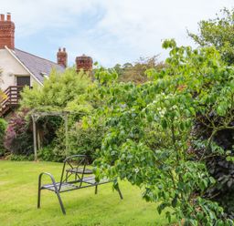 A backyard with a metal bench on grass and various trees and shrubs at Fig Trees Wibble Farm in Williton near Watchet