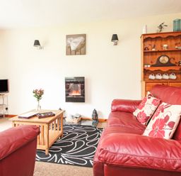 A living room with red leather sofas a wooden coffee table a black patterned rug and a wall-mounted electric fireplace at 4 Manorcombe Honicombe Manor near Gunnislake