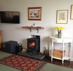 A living room with a wood stove fireplace a wall-mounted television wooden cabinet a red rug and a white side table with yellow flowers at Quarterdeck in Bigbury-on-Sea near Modbury