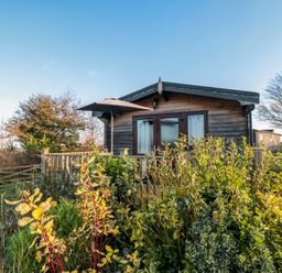 A wooden lodge with a patio umbrella surrounded by plants and trees at Hawthorne Lodge in Liverton near Danby