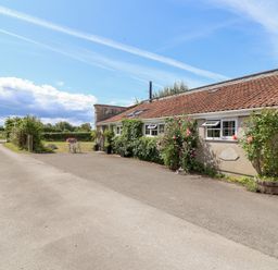 An outdoor area featuring a driveway and flowering plants at Pear Tree Cottage Mark near Burnham-on-Sea