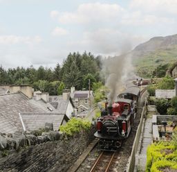 A steam train passing through houses and trees at Ty Gwynn in Tanygrisiau