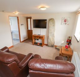 A living room with two brown leather sofas a wall-mounted TV on a wooden table a stone slab a small wooden table with flowers and wall decorations at Garreg Wen Isaf Bach in Penygroes near Caernarfon