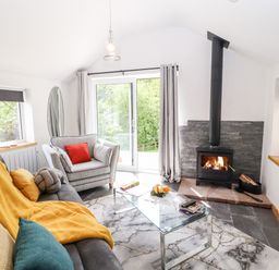 A living room with a sofa and armchair a glass coffee table a wood burning stove and a television at Lands Brow Lodge in Wigton