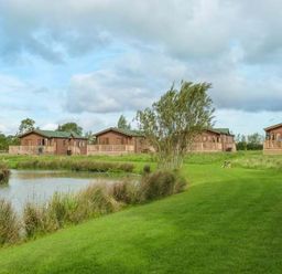 Wooden lodges near a pond with grassy area and trees at Morgan Lodge in Hewish near Weston-super-Mare