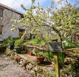 A garden with potted plants and a blossoming tree near a stone pathway and a white house at The Ark Cottage in St Blazey