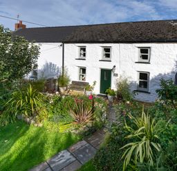 A white cottage with four windows a green door a bench and a garden with plants and flowers at Fern Cottage in Aberporth