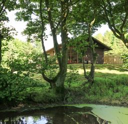 A wooden cabin behind trees near a small pond at Pond Farm Woodlands in Ugthorpe