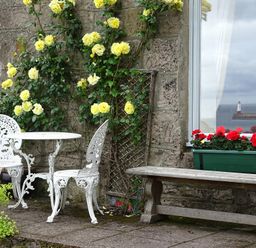 A stone patio with white metal table and chairs yellow roses climbing on the wall red flowers in a window box and a bench at The Lookout in Berwick-upon-Tweed