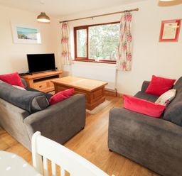 A living room with two gray sofas with red cushions a wooden coffee table a television on a wooden stand and a window with floral curtains at Bodneithiior in Llanerchymedd