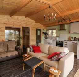 A living room with two sofas a kitchen with white cabinets and appliances and wooden walls and ceiling at The Cabin in Pontardawe