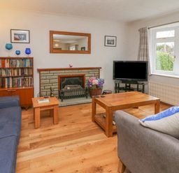 A living room with two sofas a wooden coffee table a side table a bookshelf and a fireplace with a mirror above it at Trederwen in Rhayader