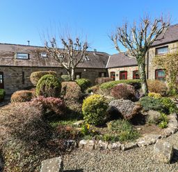 A stone cottage courtyard with pruned trees and various shrubs at Corner Cottage in Broad Haven