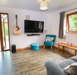 A living room with a television and a guitar at Dragonfly Lodge Whinburgh near Dereham