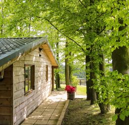 A cabin with trees and a pathway at Valley View Lodge in Welshpool