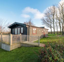 A wooden cabin with a fenced deck surrounded by grass and trees at Sycamore Lodge in Liverton near Danby