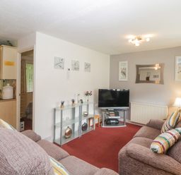 A living room with two sofas a television on a stand and a glass shelf with decorations at Sycamores Rosecraddoc Lodge near Liskeard