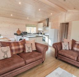 A living area with two brown sofas and a kitchen with white cabinets and appliances at Thorntree Lodge in Rowsley