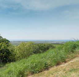 A grassy hill with trees overlooking fields and a distant sea view at Y Becws Llanbedr near Harlech