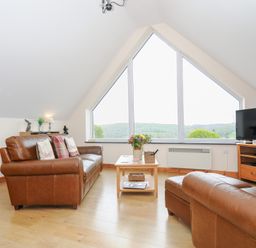 A living room with brown leather sofas a wooden coffee table and a large triangular window at Treview Launceston