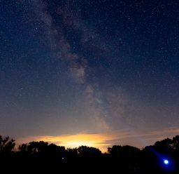 A night sky with stars and the milky way above trees and horizon at The Milking Parlour in Highampton