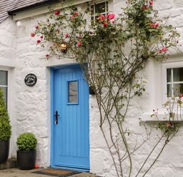 An exterior view of a cottage with a blue door and plants at Rosslare Cottage in Broughshane