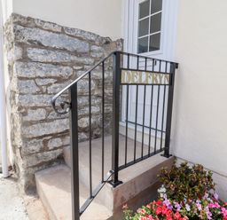 A stone step entrance with a black metal railing featuring the name Delfryn and a flower bed nearby at Delfryn Llannefydd near Denbigh