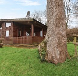 A wooden cabin with a porch surrounded by grass and a large tree near a wooden fence at The Ash Lodge near Lyme Regis