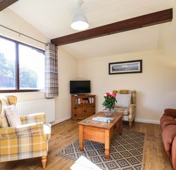 A living room with furniture and television at Snowdrop in Saltburn-by-the-Sea