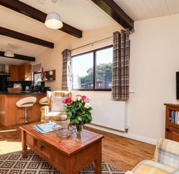 A living room with a coffee table and television at Snowdrop in Saltburn-by-the-Sea