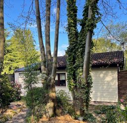 A small house with a tiled roof surrounded by trees and shrubs at Badger View in Culverstone Green near Chatham