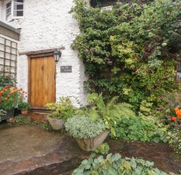 A garden area with potted plants and a wooden door on a white wall at The Old Bakery in Crowcombe