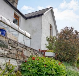 The exterior of a white house with a stone wall and various plants and bushes at Pen Y Graig in Talysarn