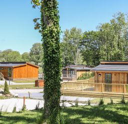 Wooden lodges with decks surrounded by trees and grass at Squirrel Lodge in Gargrave near Skipton