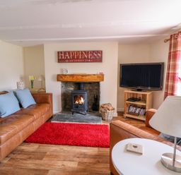 A living room with brown leather sofas a fireplace with a fire a red rug a television on a wooden stand and a lamp on a table at Bank House in Capel Iwan near Newcastle Emlyn