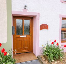 A wooden front door with frosted glass panels and flowers on either side at Bank House in Capel Iwan near Newcastle Emlyn