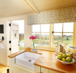 A kitchen corner with a sink, flowers in a vase, a kettle, toaster, and bowl of apples at Willow in Burlawn near Wadebridge