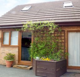 The exterior of a brick house with wooden framed windows and door with a large wooden planter with flowers and climbing plants at Penylodge in Builth Wells