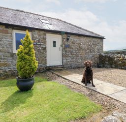 An outdoor area featuring a dog sitting by a plant at Gallow Law Cottage in Bellingham